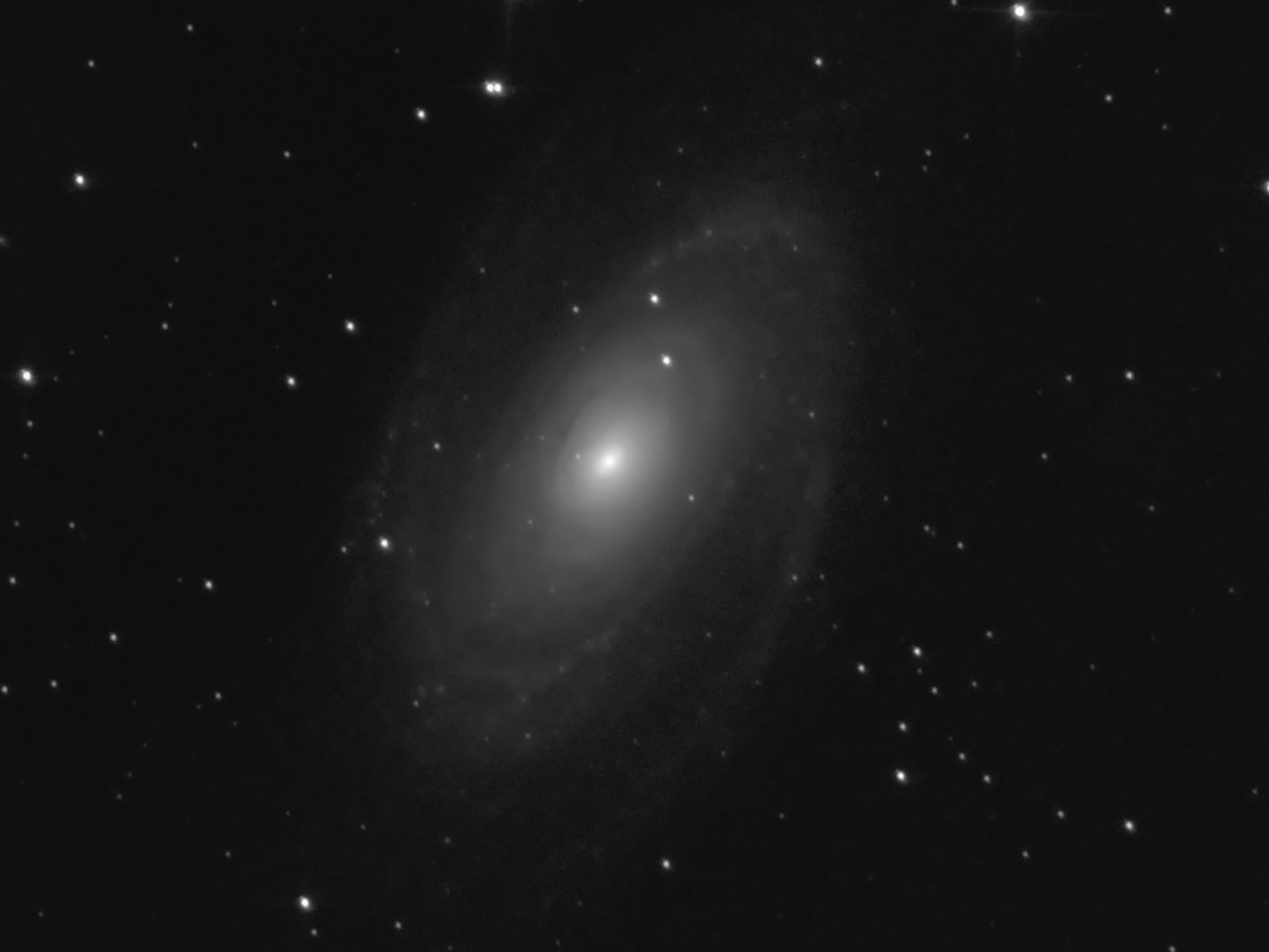 M81