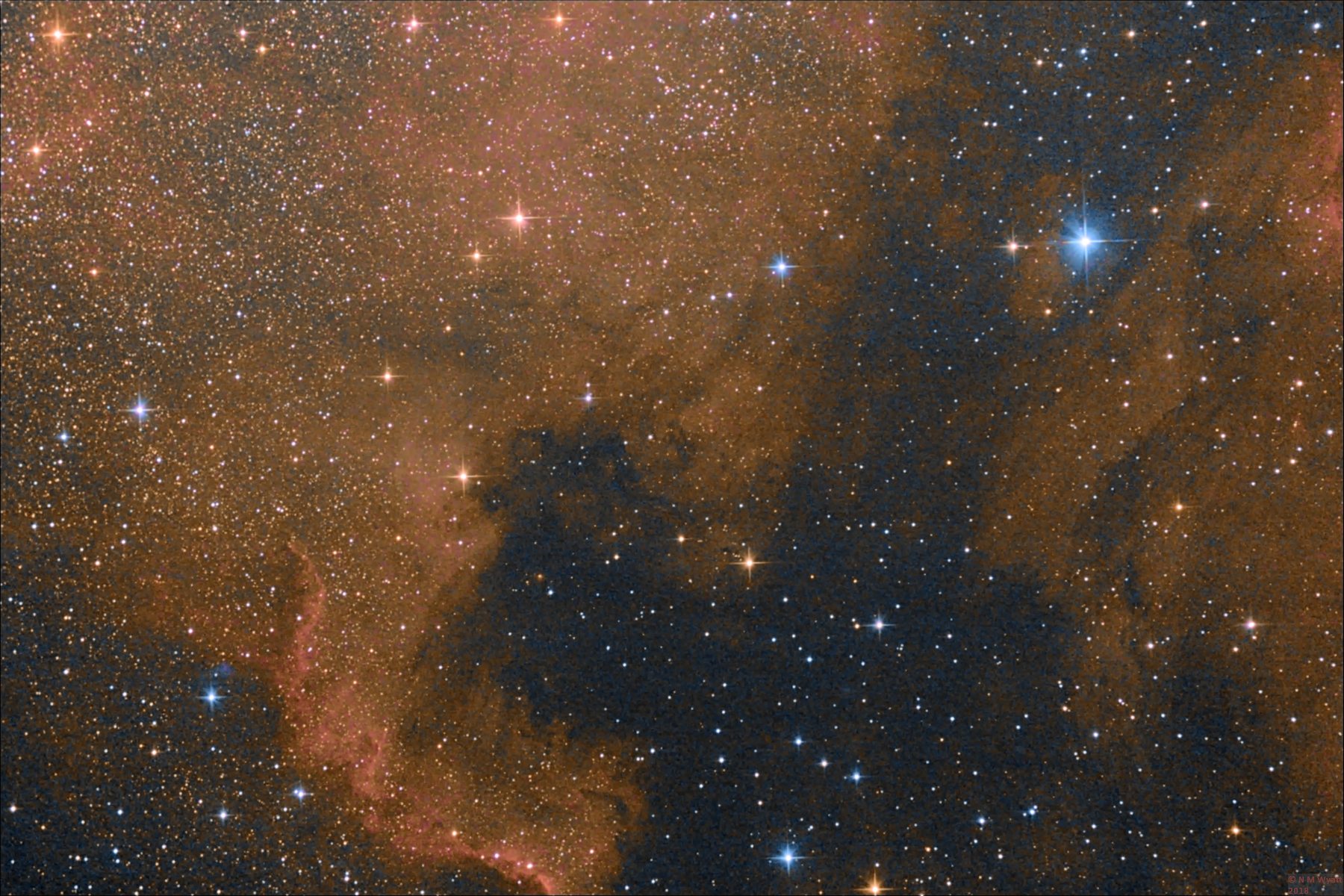 North America and Pelican Nebulae
